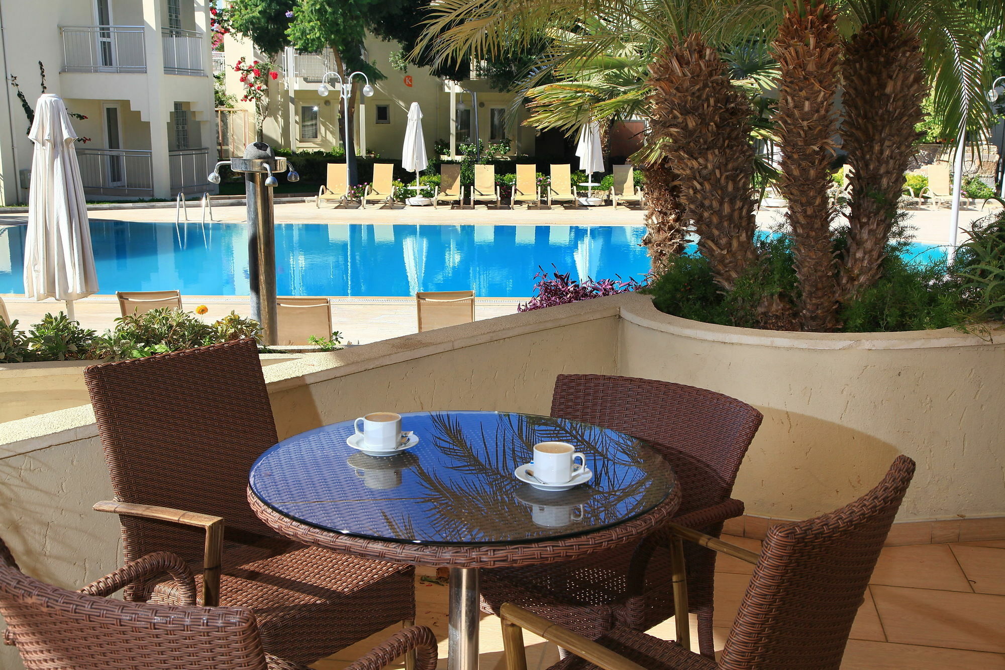 Mandarin & Bodrum
